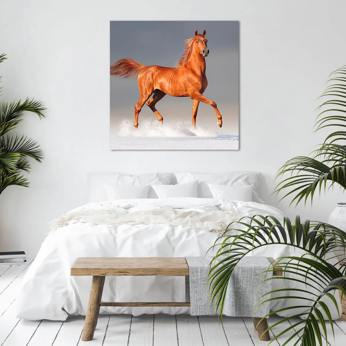 Obraz na plátně - Tančící elegance - 70x70 cm