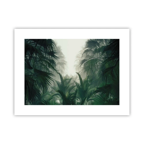 Plakát - Tropická záhada - 40x30 cm