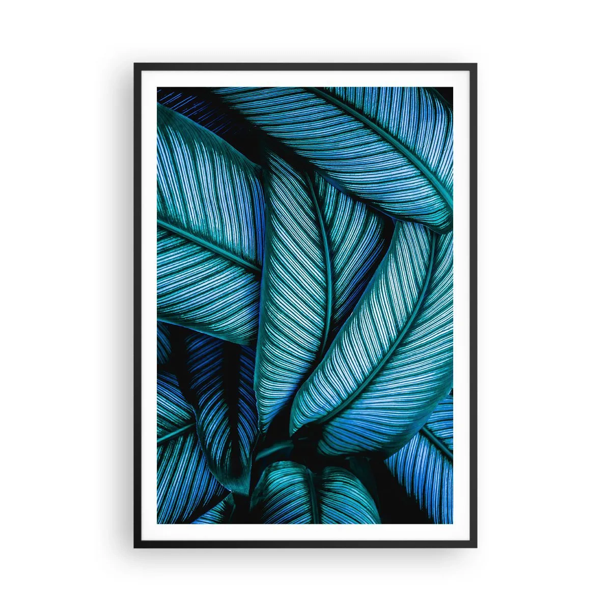 Plakát v černém rámu - Čáry života - 70x100 cm
