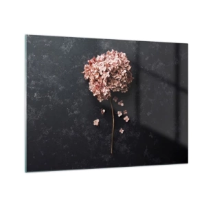 Obraz na skle - Suchá hortenzie s rozptýlenými okvětními lístky na tmavém pozadí - 70x50cm - Skutečně romantické znamení - Moderní nástěnná dekorace do obývacího pokoje a ložnice ARTTOR