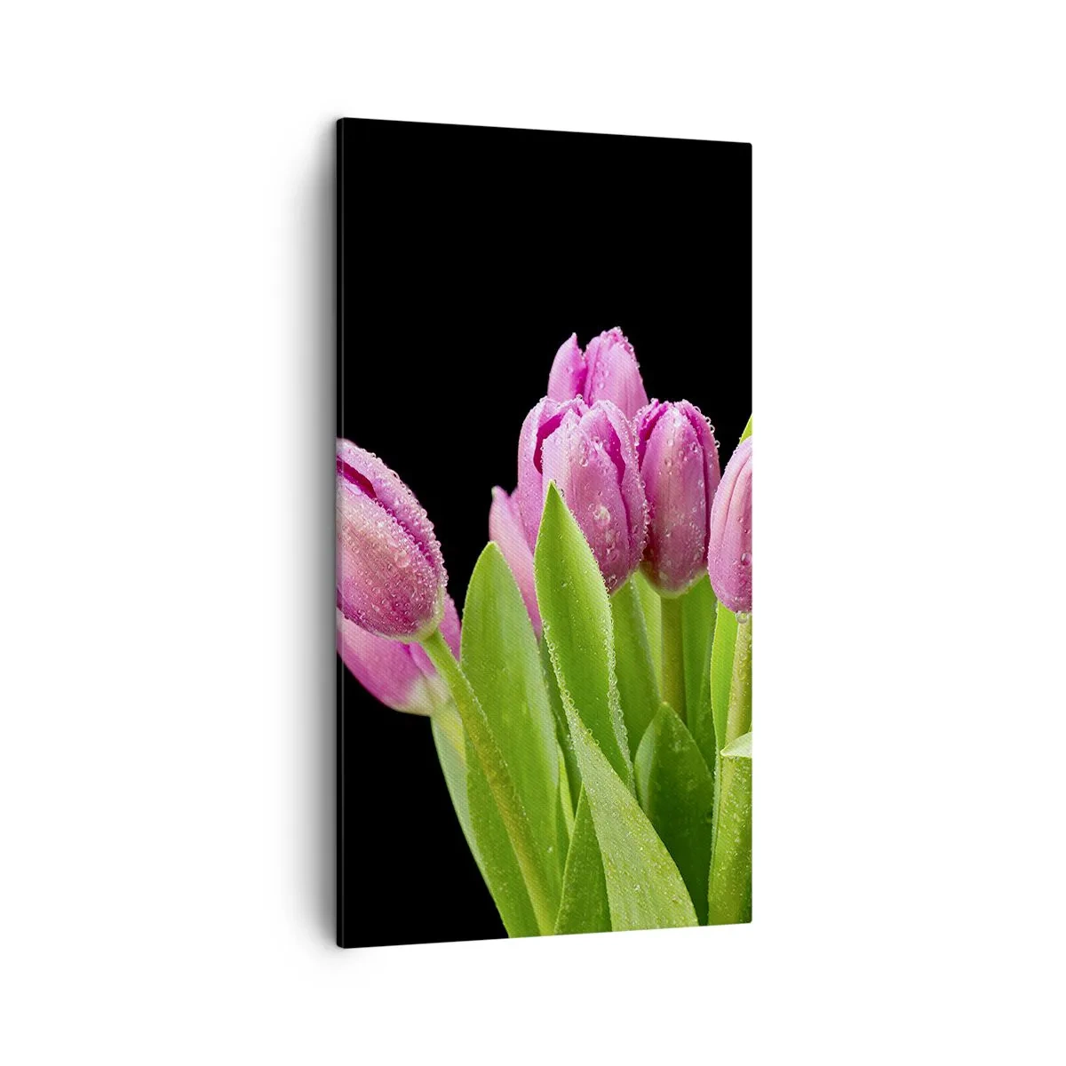 Obraz na plátně - Liliové potěšení jara - 45x80 cm