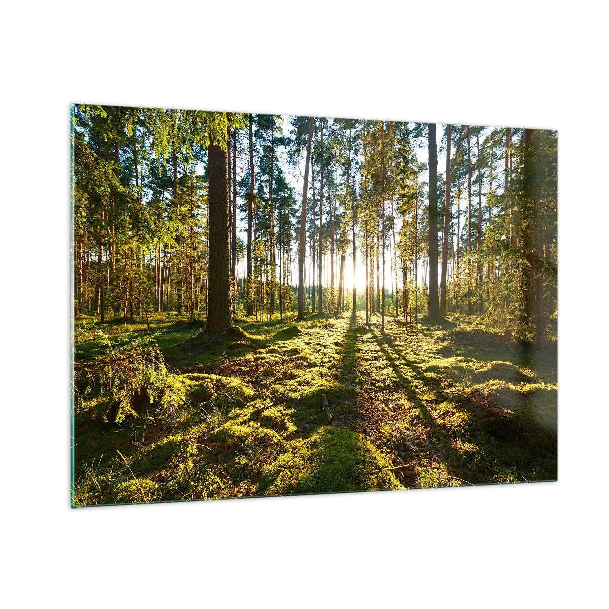 Obraz na skle - …Za sedmero lesy - 100x70 cm