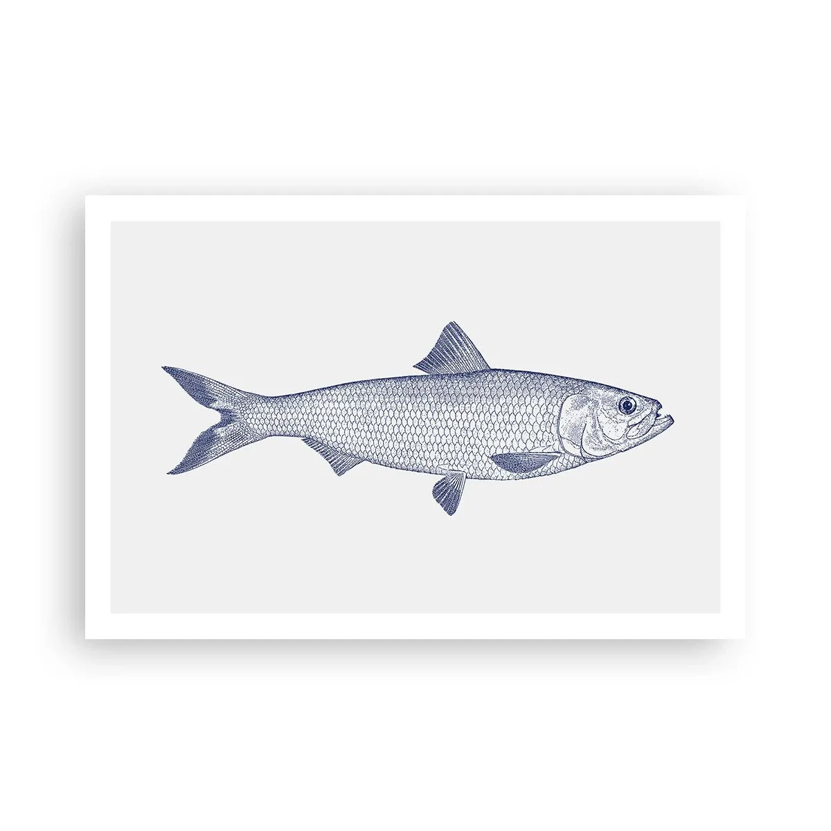 Plakát - Pozdravy ze severních moří - 91x61 cm