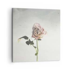 Obraz na plátně - Vítání jara - 50x50 cm