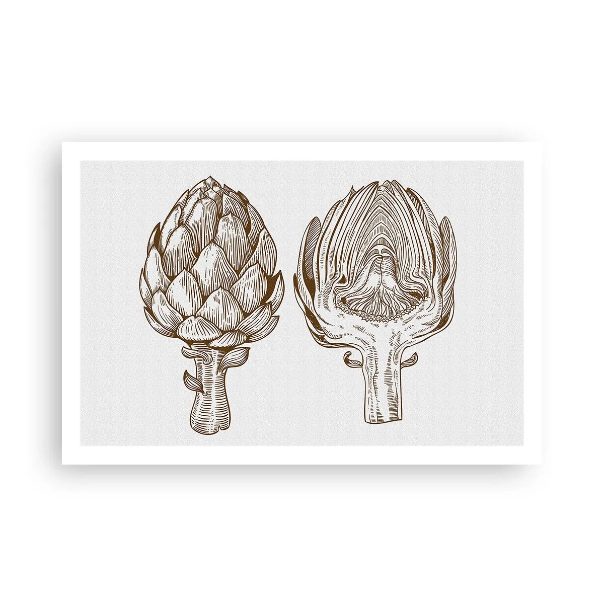 Plakát - Hodiny anatomie - 91x61 cm