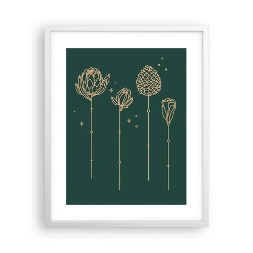 Plakát v bílém rámu - Bylinky - 40x50 cm