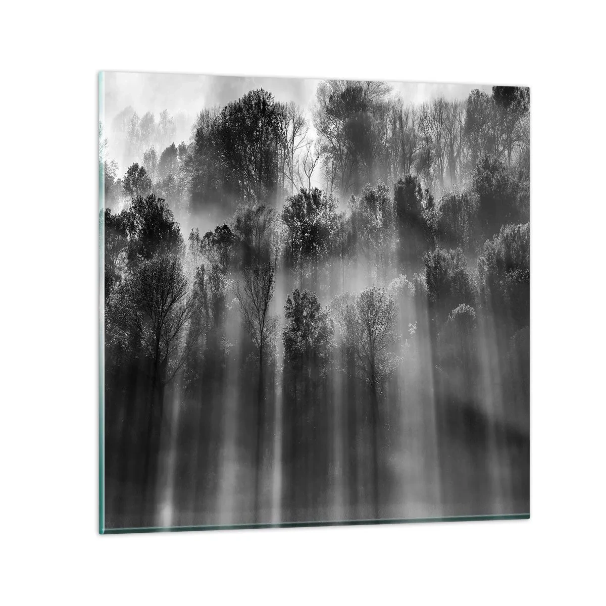 Obraz na skle - V paprscích světla - 70x70 cm
