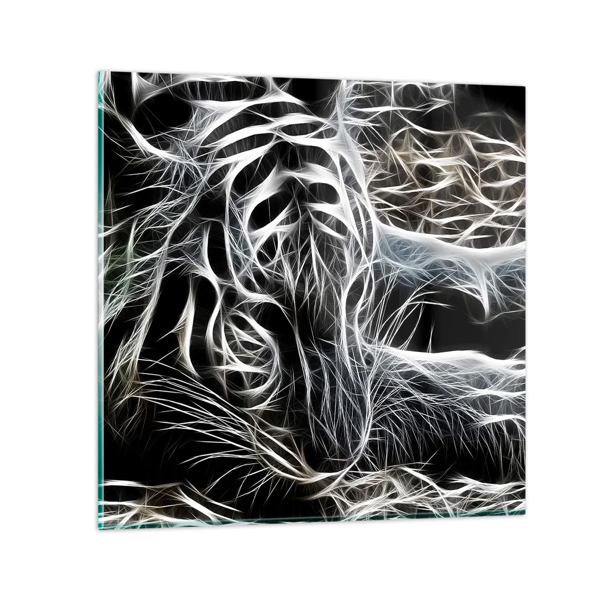 Obraz na skle - Studie kočičí lehkosti - 60x60 cm