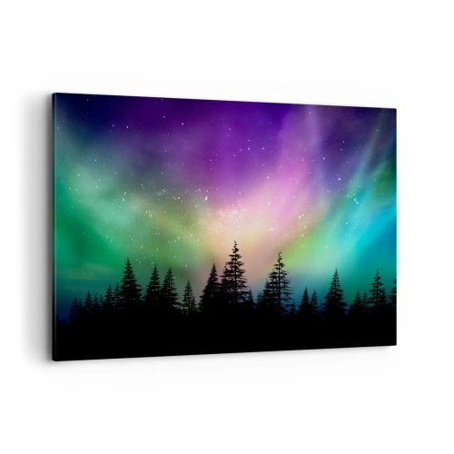 Obraz na plátně - Bílá magie - 100x70 cm
