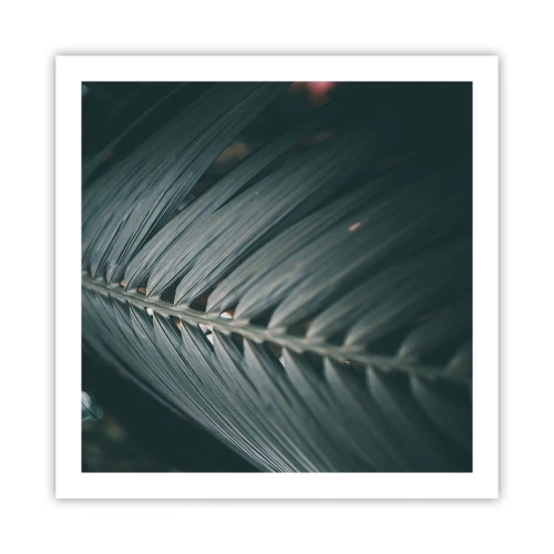 Plakát - Přesnost přírody - 60x60 cm