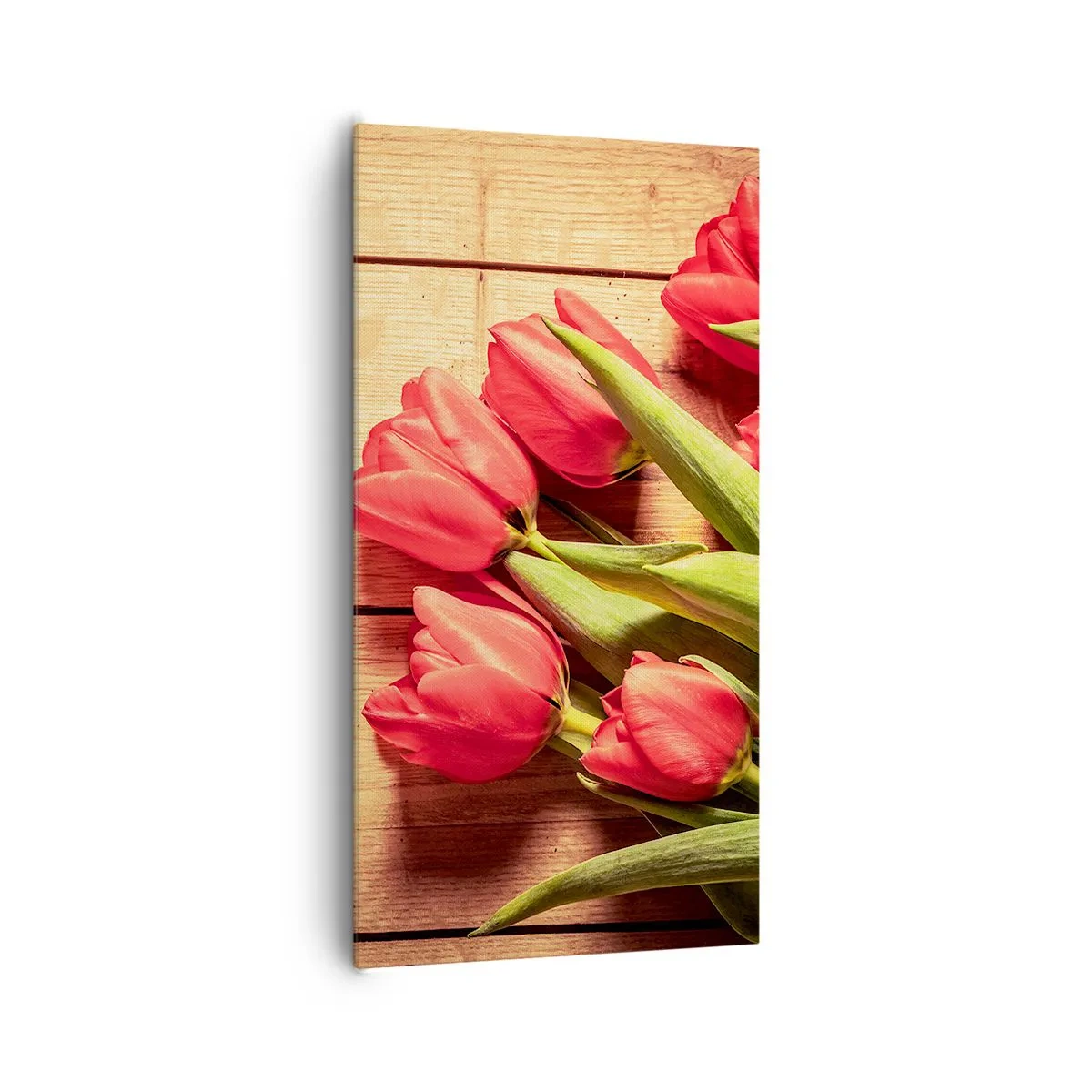 Obraz na plátně - Jarní vyznání - 65x120 cm