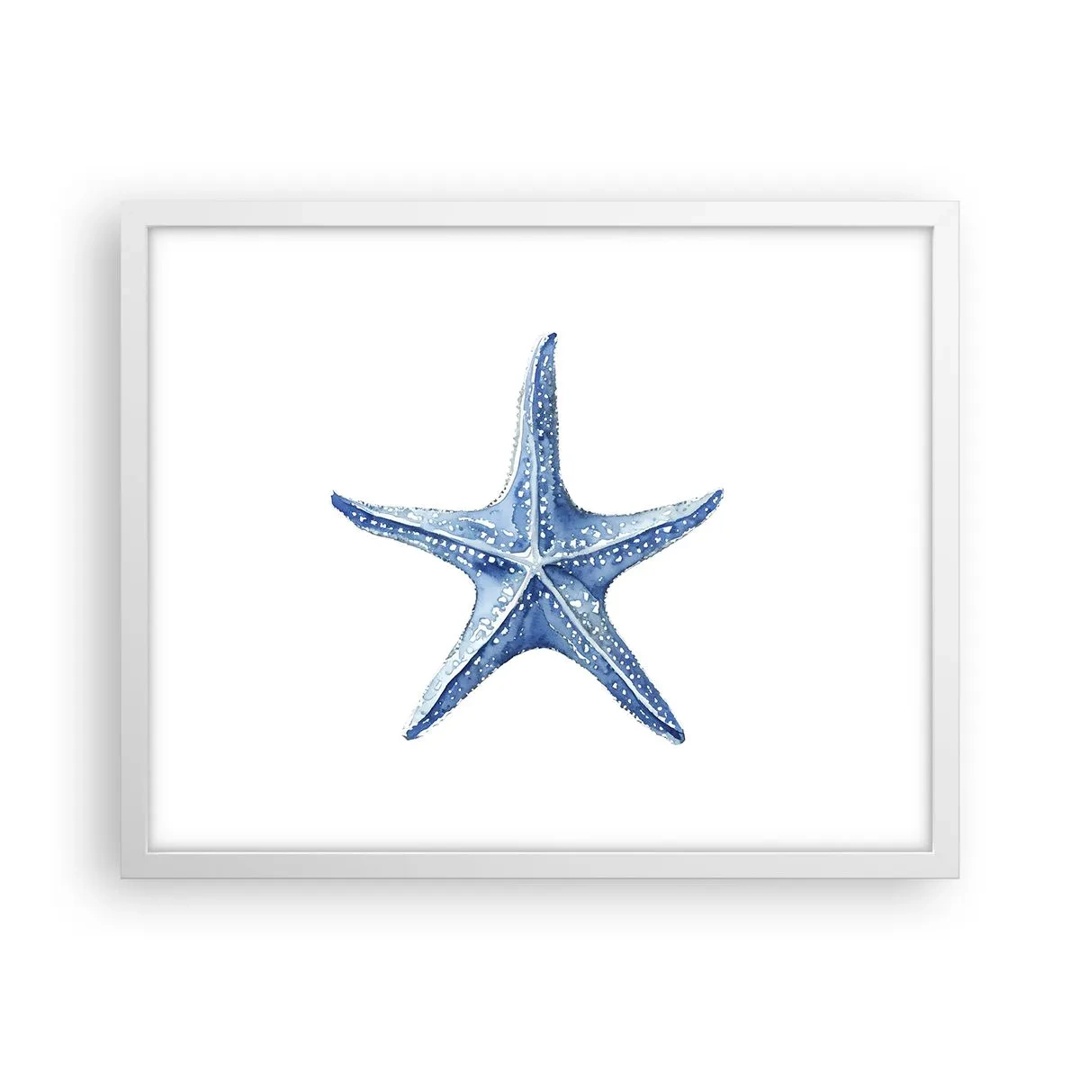 Plakát v bílém rámu - Hvězda moře - 50x40 cm