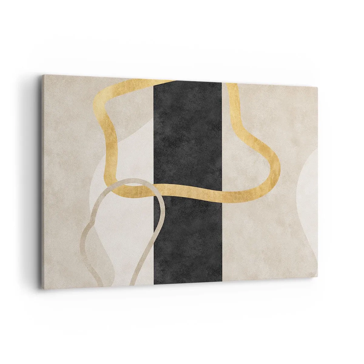 Obraz na plátně - Tvary ve smyčce - 100x70 cm