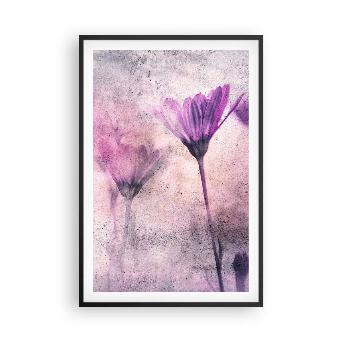 Plakát v černém rámu - Sen květin - 61x91 cm