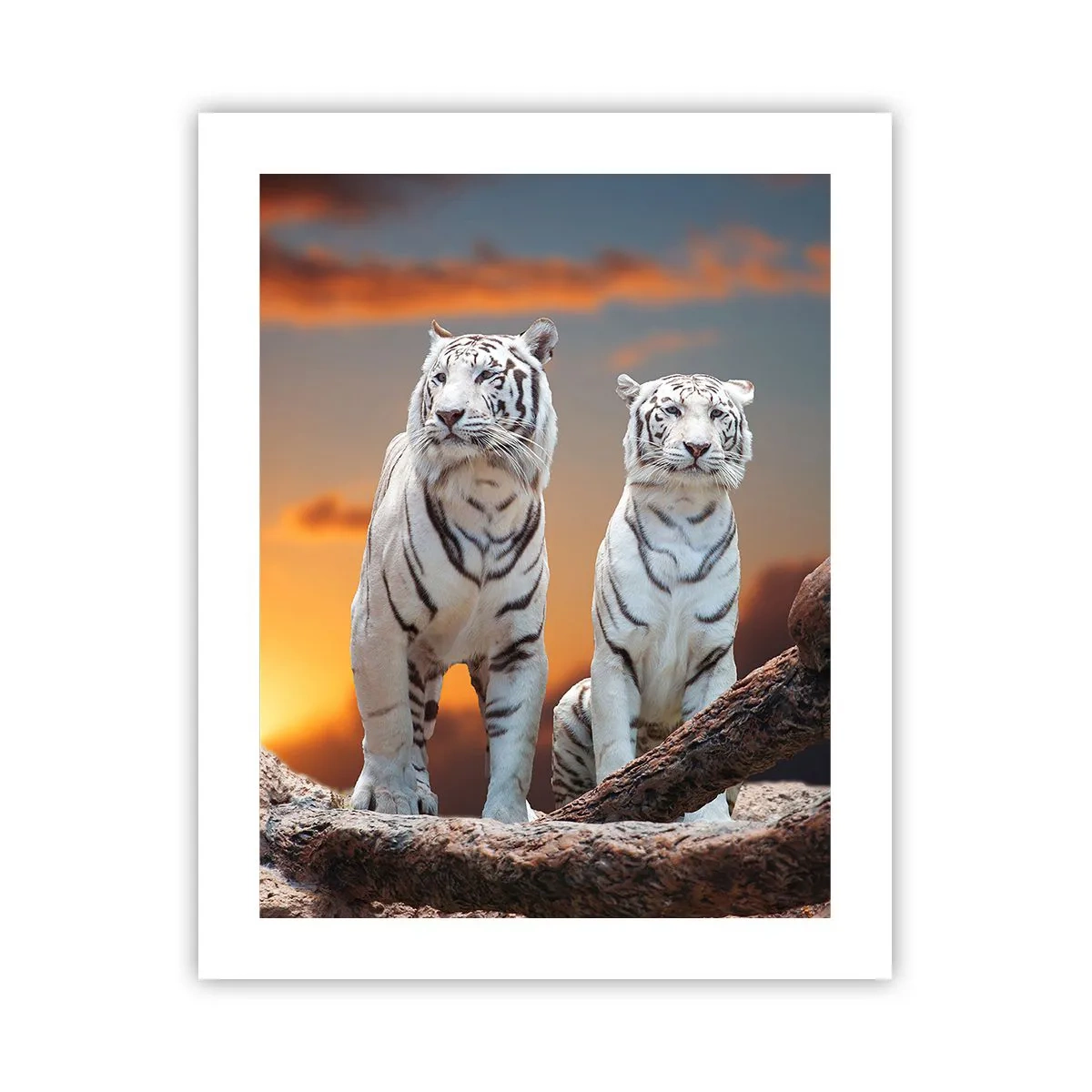 Plakát - Úplně jako v Narnii - 40x50 cm