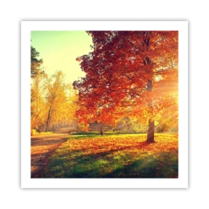 Plakát - Rudé je krásné - 60x60 cm