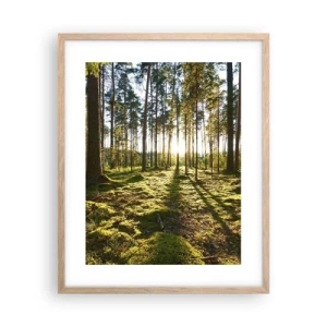 Plakát v rámu světlý dub - …Za sedmero lesy - 40x50 cm