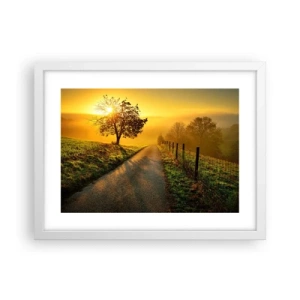 Plakát v bílém rámu - Medové odpoledne - 40x30 cm