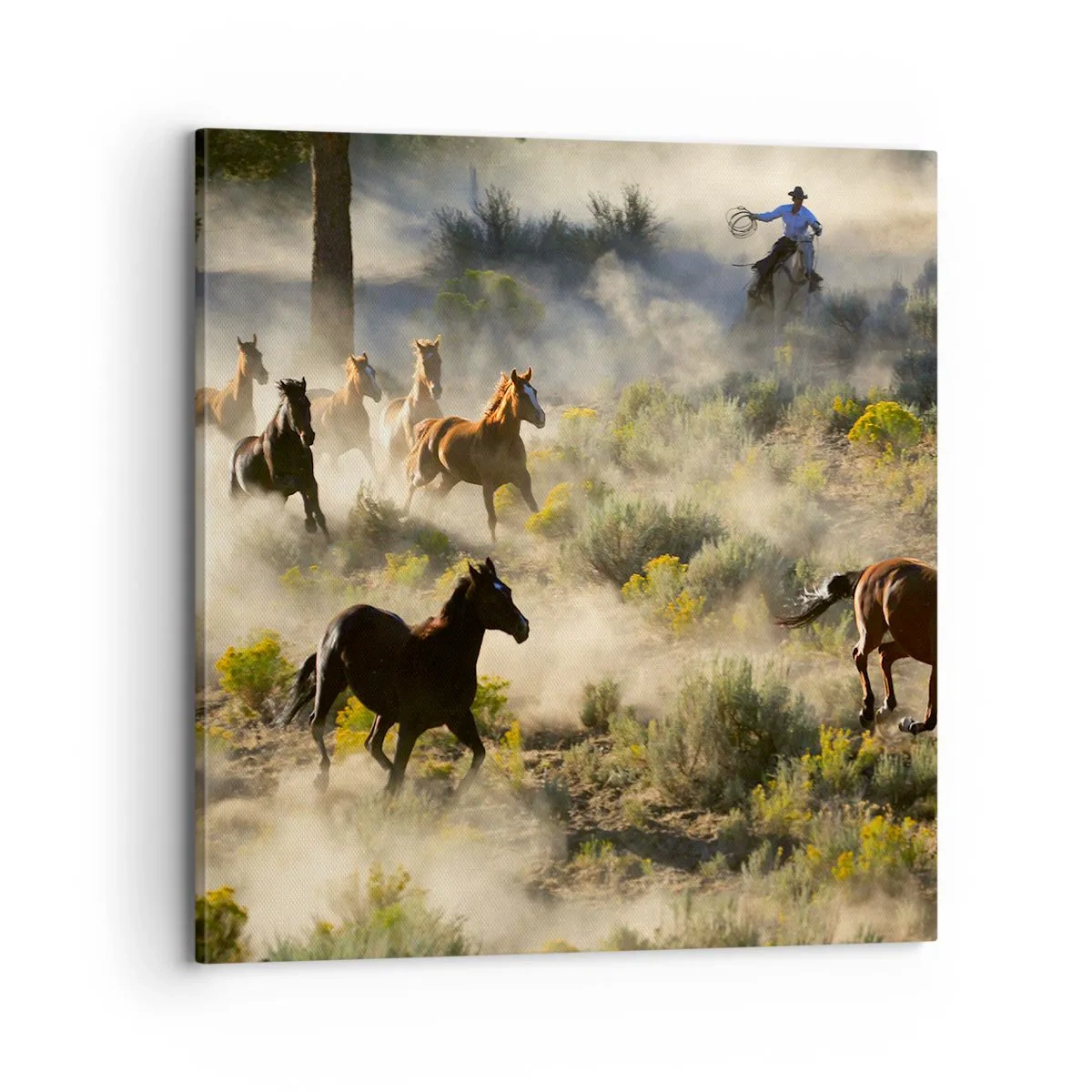 Obraz na plátně - Rivalita - svoboda nebo mužská síla? - 70x70 cm