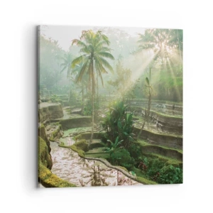 Obraz na plátně - Vyrůstát na slunci - 70x70 cm