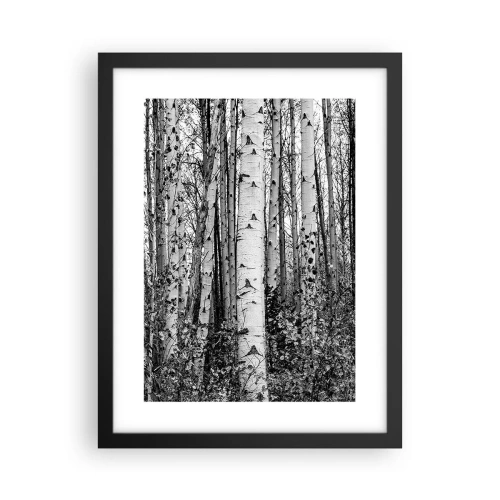 Plakát v černém rámu - Březová kolonáda - 30x40 cm