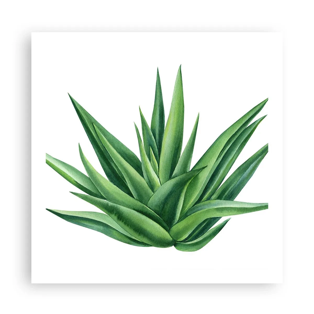 Plakát - Zelená – síla – život - 60x60 cm