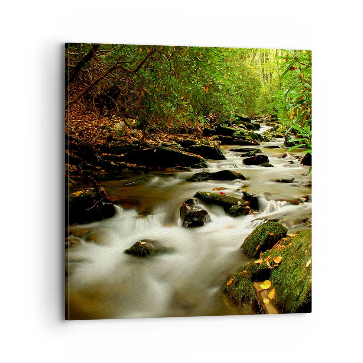 Obraz na plátně - Jako tekuté stříbro - 70x70 cm