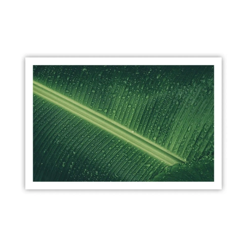 Plakát - Struktura zelené - 91x61 cm