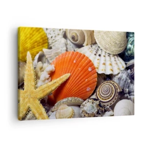 Obraz na plátně - Mušle a hvězdice v mořské kompozici - 70x50cm - Poklady oceánu - Moderní nástěnná dekorace do obývacího pokoje a ložnice ARTTOR