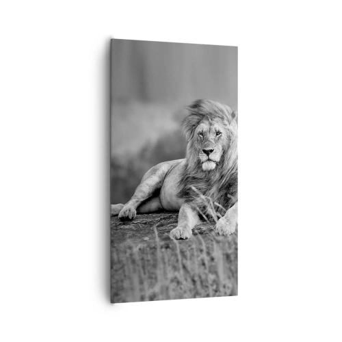 Obraz na plátně - Královská siesta - 65x120 cm