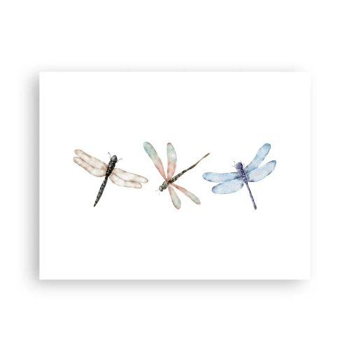 Plakát - Beztížné vážky - 40x30 cm