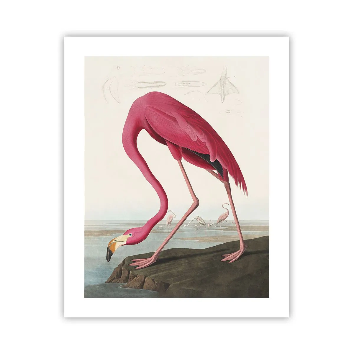 Plakát - Úžasná stvůra - 40x50 cm