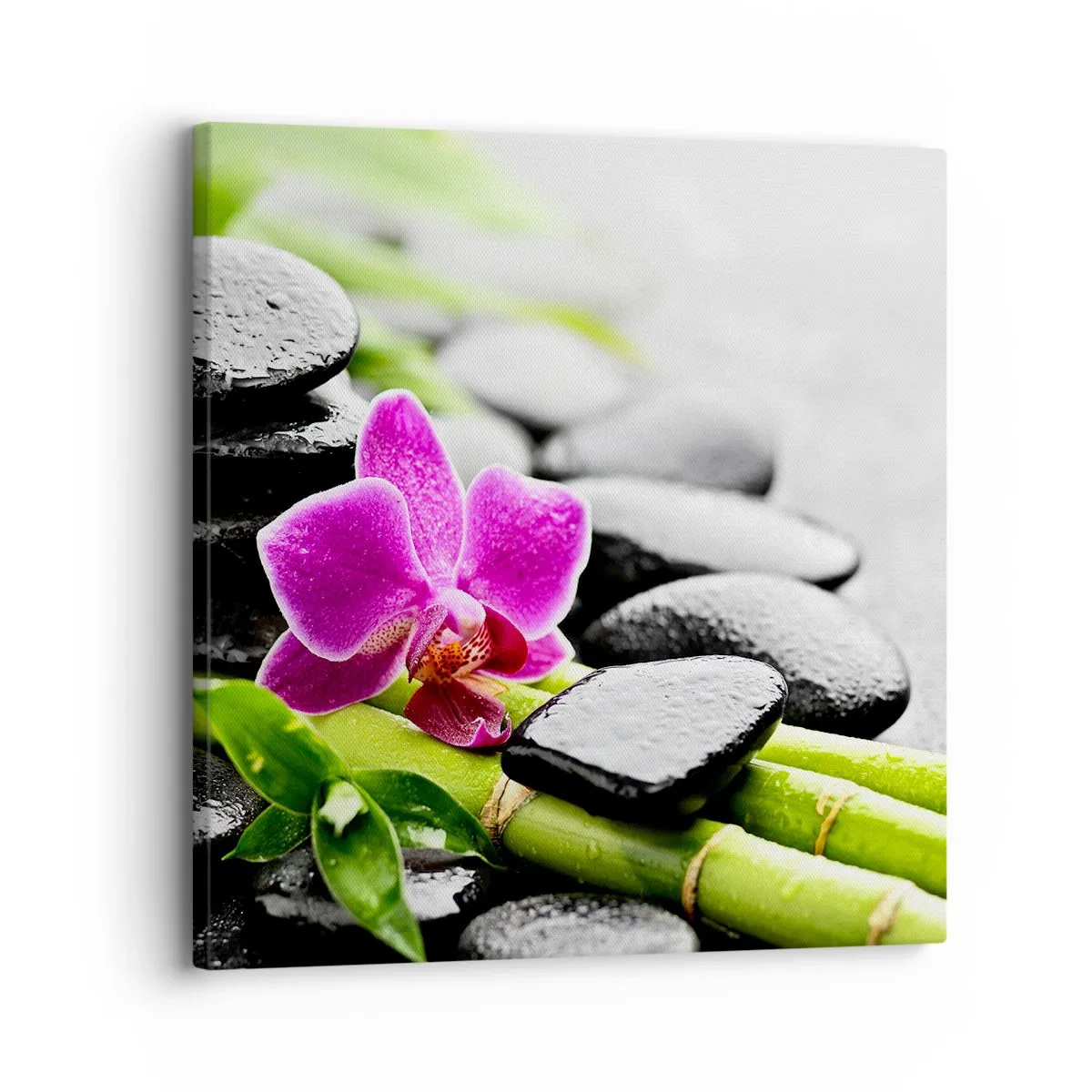 Obraz na plátně - V klidné rovnováze - 30x30 cm