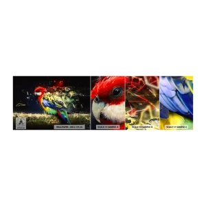 Vzor Fototapety Samolepicí Deluxe Sticker - Posel záře - Abstrakce, Papoušek, Pták - 100x30 cm