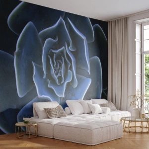 Fototapeta Samolepicí Deluxe Sticker - Pouštní květ - Květ agáve, Květ, Příroda - 350x256 cm