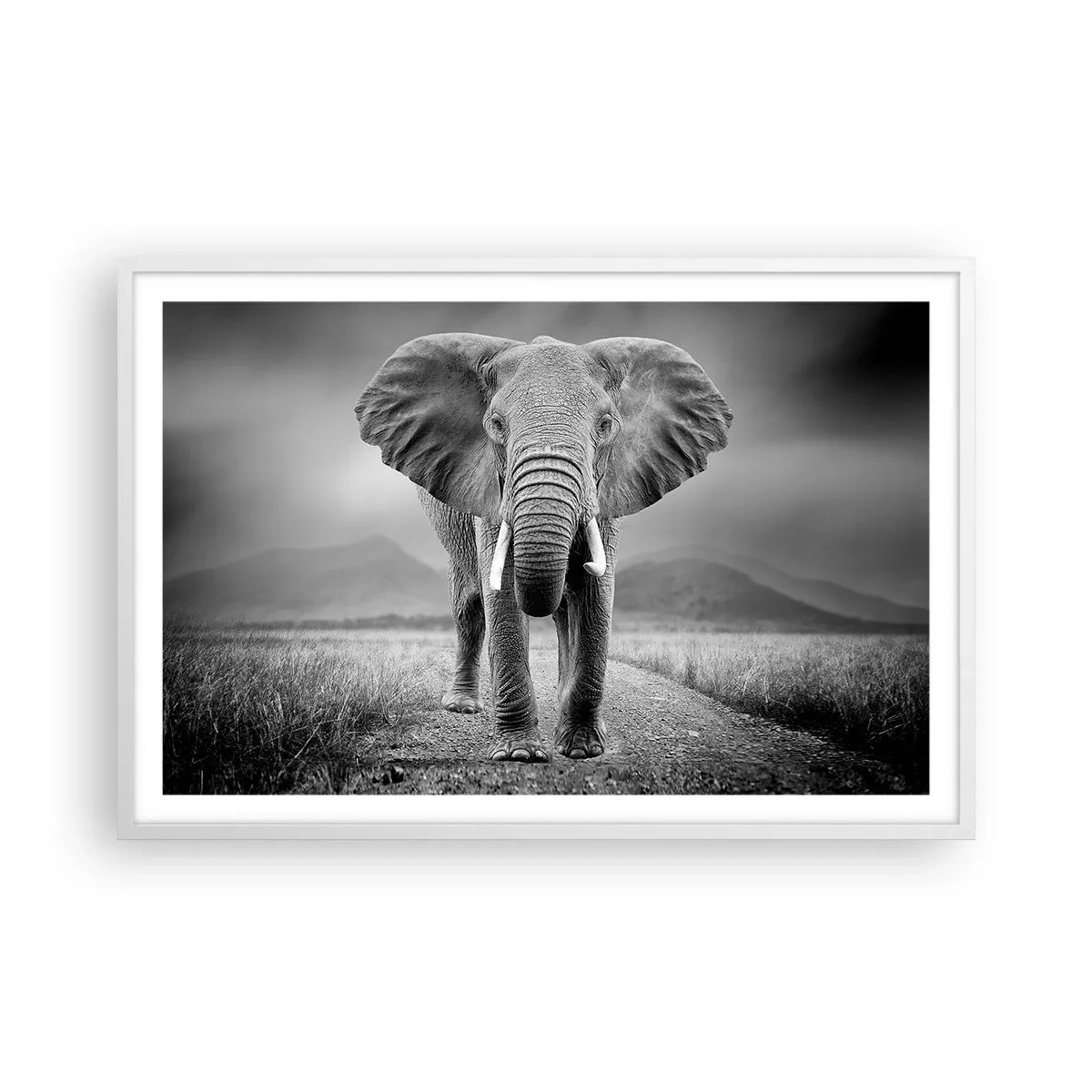 Plakát v bílém rámu - Hostitel vítá - 91x61 cm