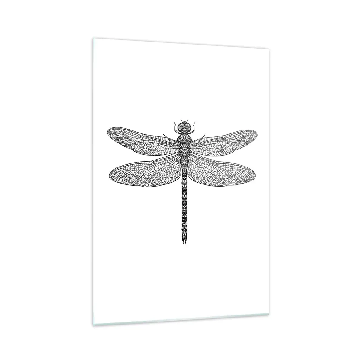 Obraz na skle - Přesnost přírody - 70x100 cm