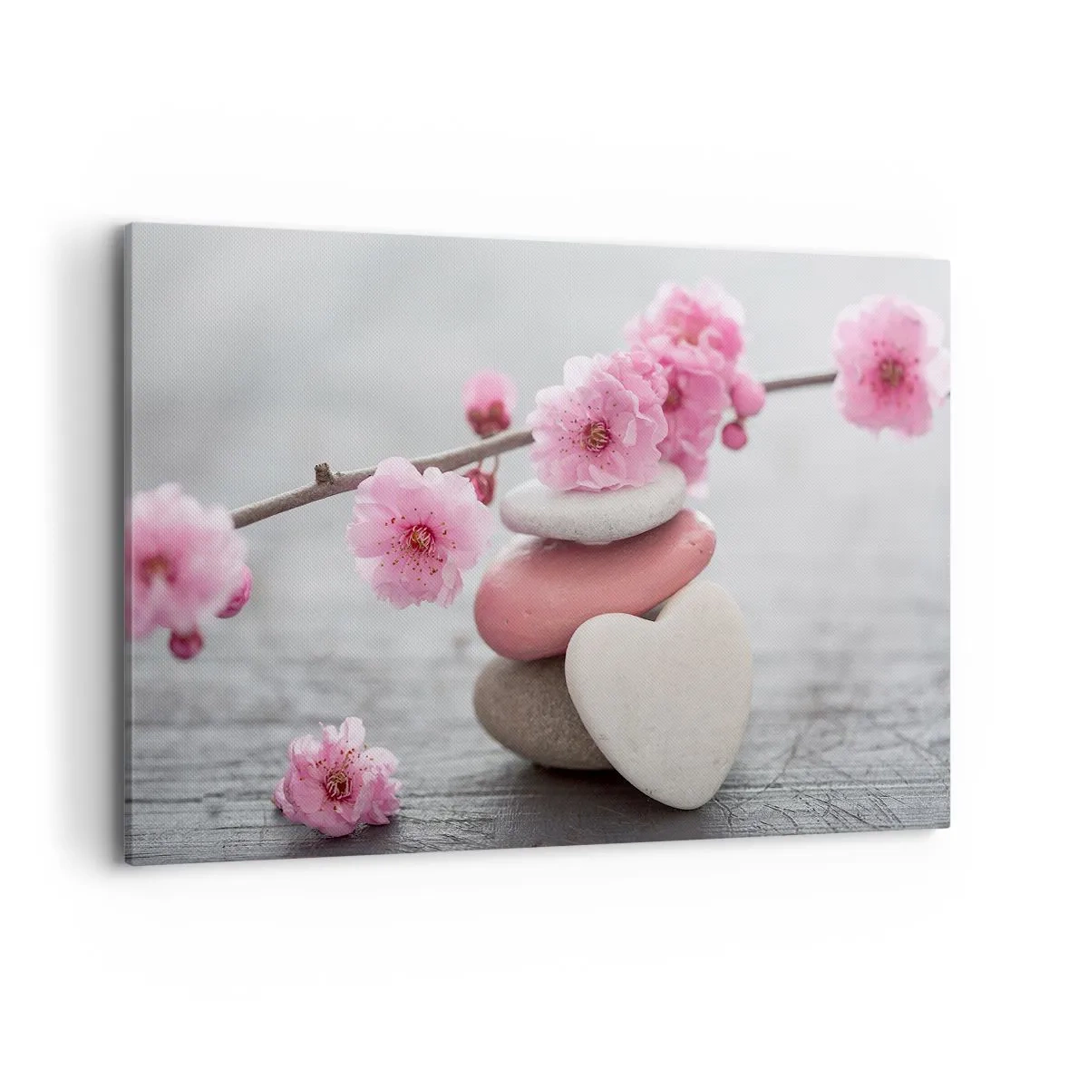 Obraz na plátně - Blaženost s višňovým květem - 100x70 cm