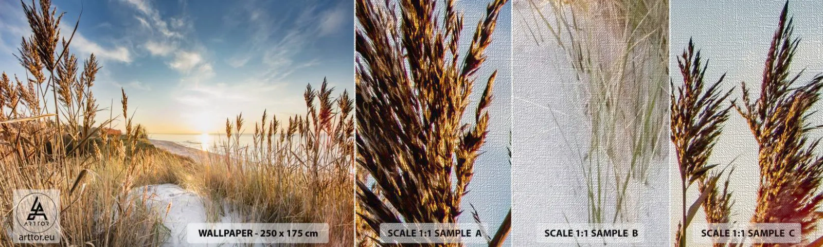 Vzor Fototapety Premium Canvas - Severní pláž - Krajina, Moře, Pláž - 100x30 cm