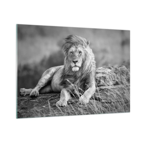 Obraz na skle - Královská siesta - 100x70 cm