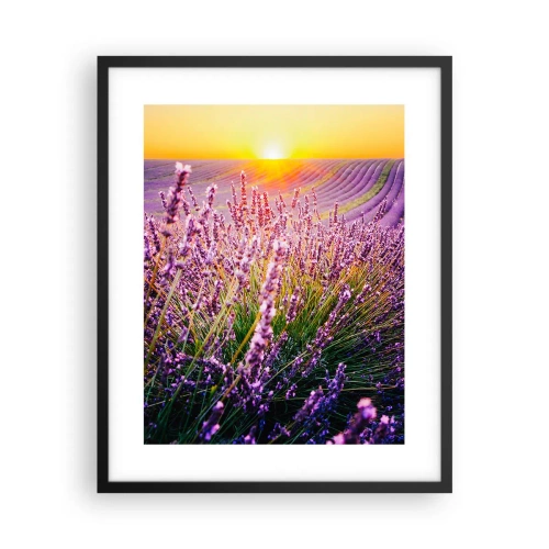 Plakát v černém rámu - Voňavý lán - 40x50 cm