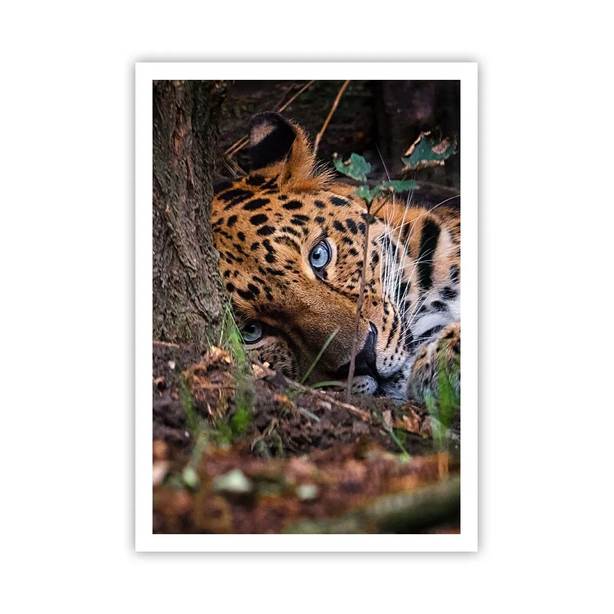 Plakát - Věř mi - 70x100 cm