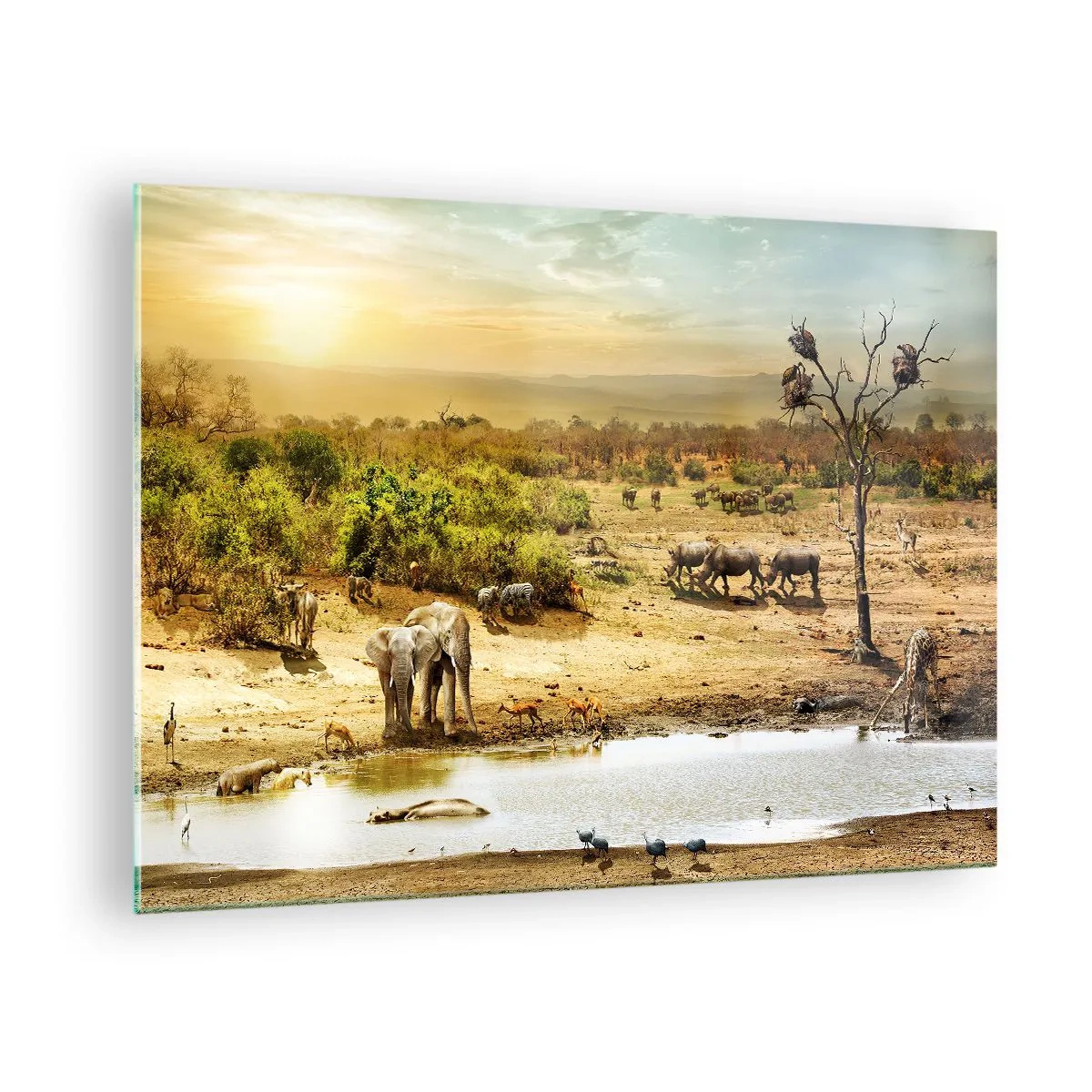 Obraz na skle - Sloni a zvířata u napajedla na pozadí africké krajiny - 70x50cm - „Z ráje opět pramenila řeka…“ - Moderní nástěnná dekorace do obývacího pokoje a ložnice ARTTOR