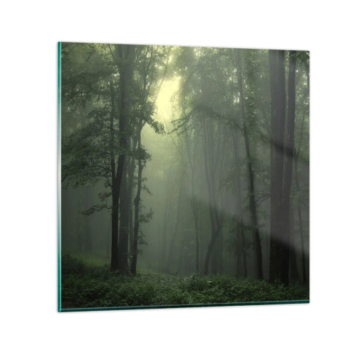 Obraz na skle - Než se probudí - 40x40 cm