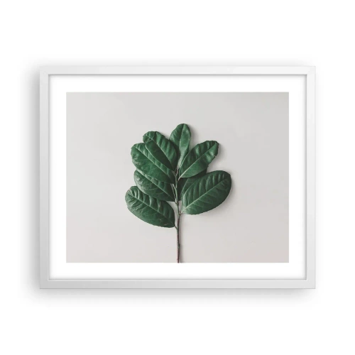 Plakát v bílém rámu - Kresba samotné přírody - 50x40 cm