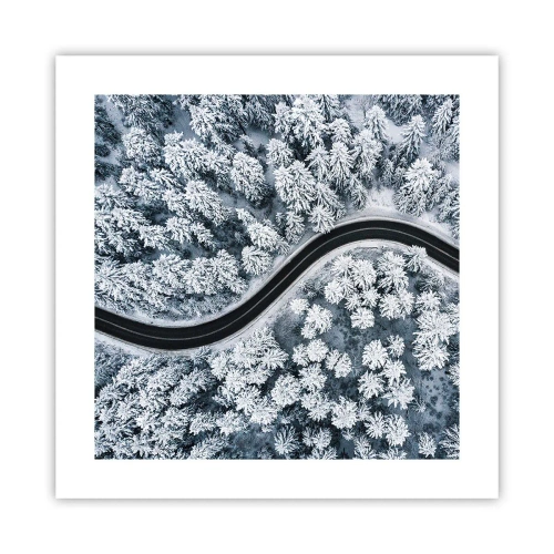 Plakát - Zimním lesem - 40x40 cm