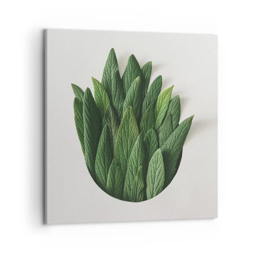 Obraz na plátně - Neukojitelná zvědavost - 50x50 cm