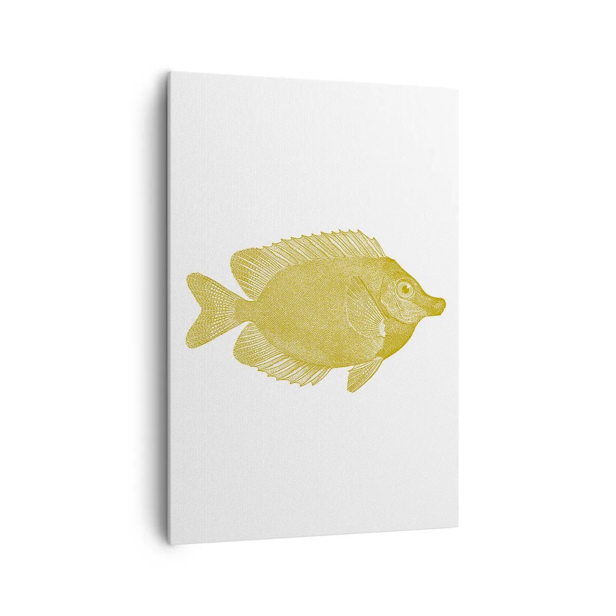 Obraz na plátně - Prostě ryba - 70x100 cm