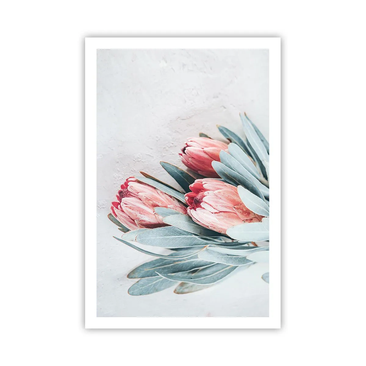Plakát - Zahanbené svou vlastní krásou - 61x91 cm