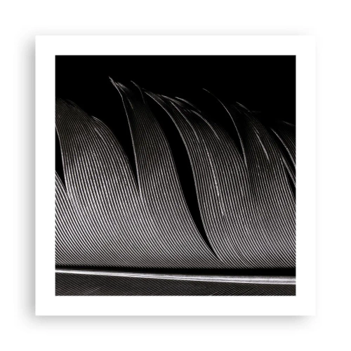 Plakát - Peří – nádherná konstrukce - 50x50 cm